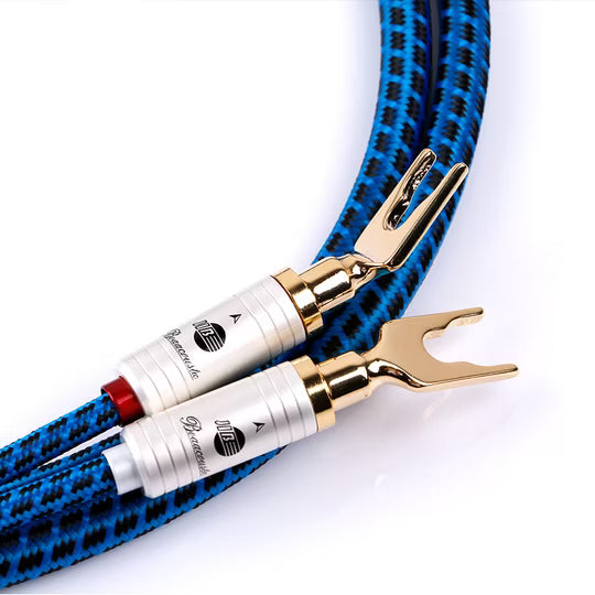 Boaacoustic Blueberry KLANG.passend