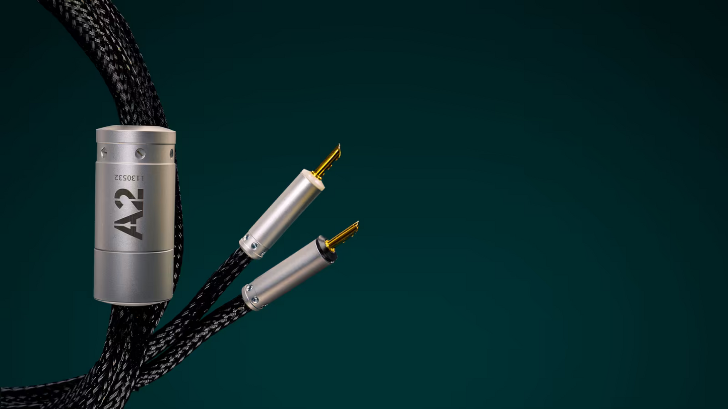 Ansuz Acoustics - Speakz A2 (Aussteller)