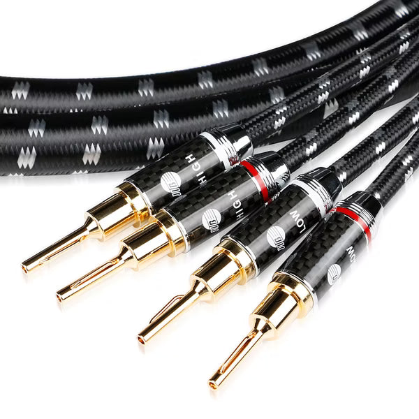 Boaacoustic Evolution BLACK.sonic-17.biAmp