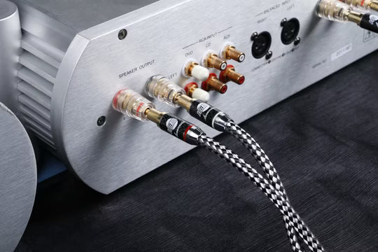 Boaacoustic Argentum SILVER.sonic-16