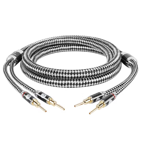 Boaacoustic Argentum SILVER.sonic-16