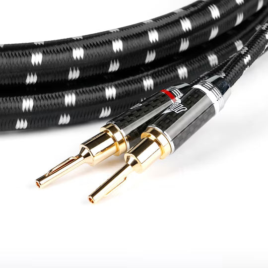 Boaacoustic Evolution BLACK.sonic-13