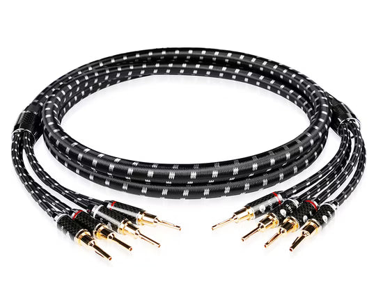 Boaacoustic Evolution BLACK.sonic-17.biAmp