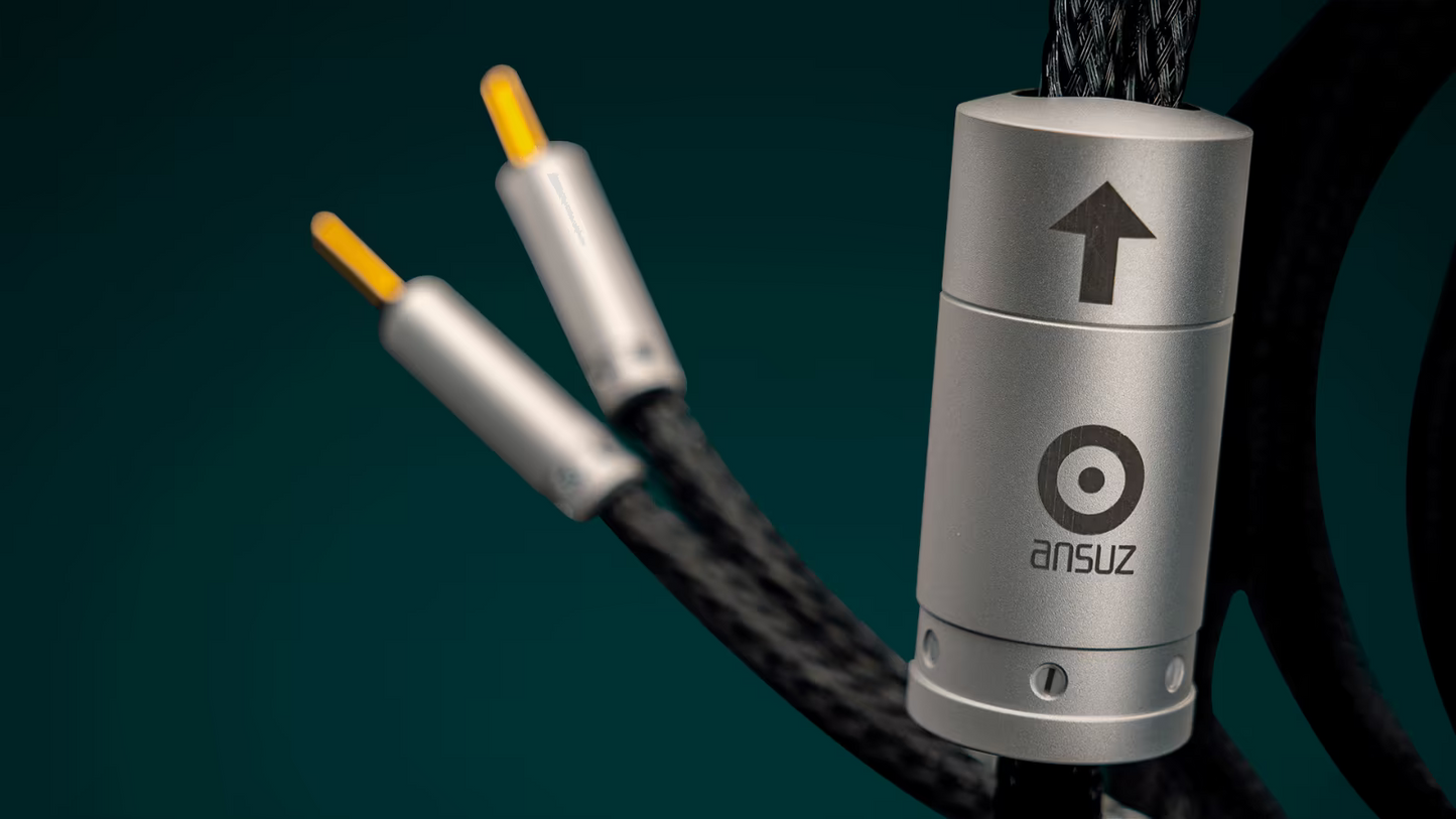 Ansuz Acoustics - Speakz P2 (Aussteller)