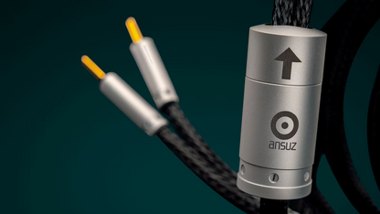 Ansuz Acoustics - Speakz P2 (Aussteller)