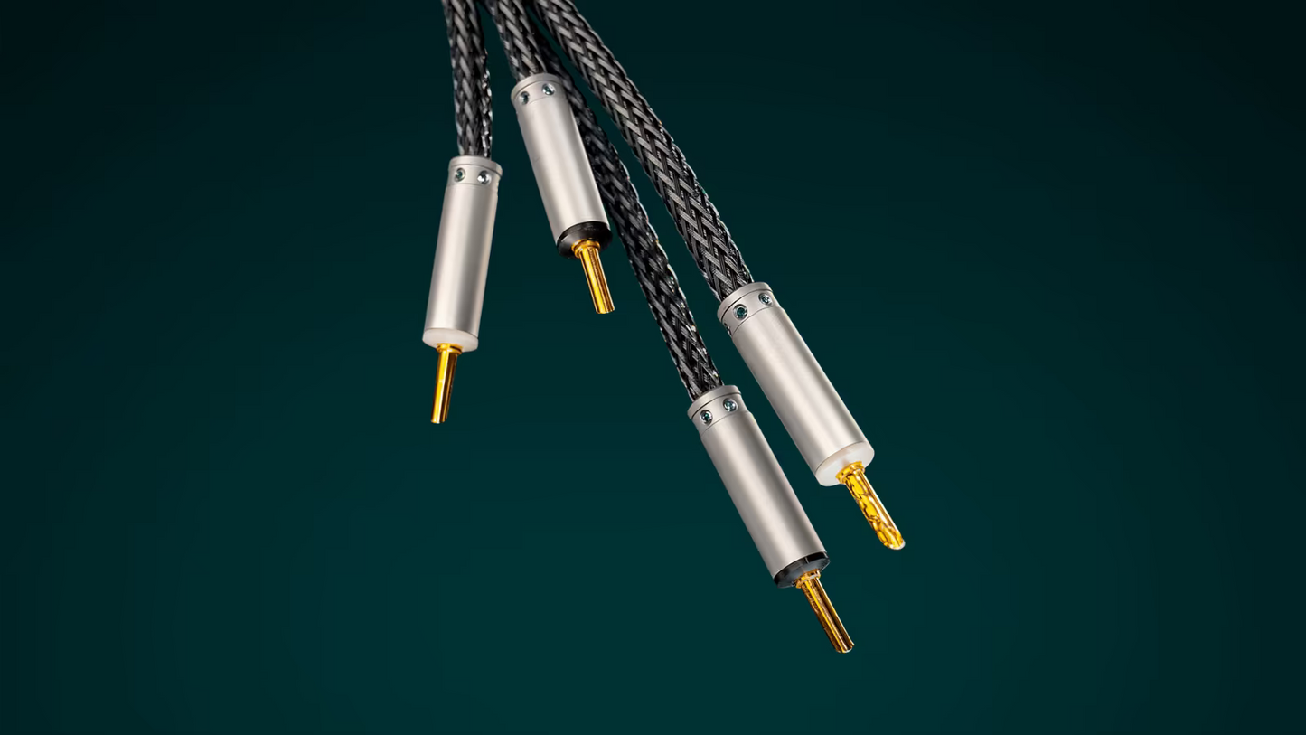 Ansuz Acoustics - Speakz P2 (Aussteller)