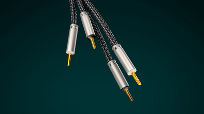 Ansuz Acoustics - Speakz P2 (Aussteller)