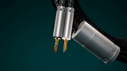 Ansuz Acoustics - Speakz P2 (Aussteller)