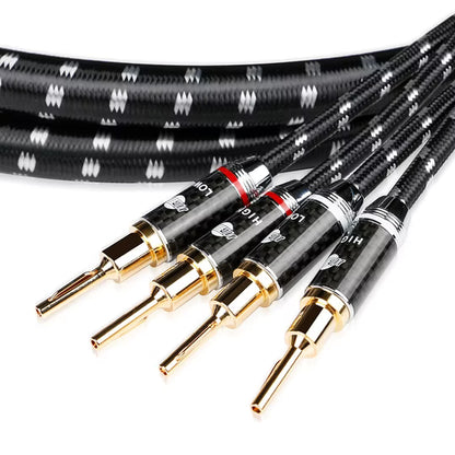 Boaacoustic Evolution BLACK.sonic-17.biWire