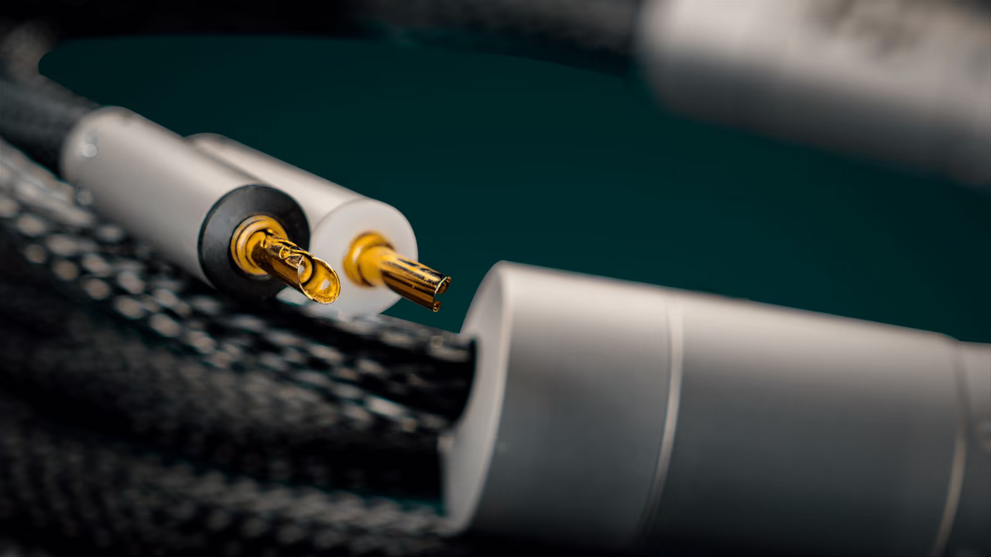 Ansuz Acoustics - Speakz P2 (Aussteller)