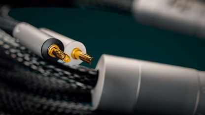 Ansuz Acoustics - Speakz P2 (Aussteller)