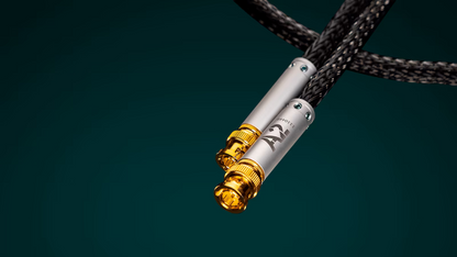 Ansuz Acoustics - Digitalz A2 - Coaxial BNC (Aussteller)