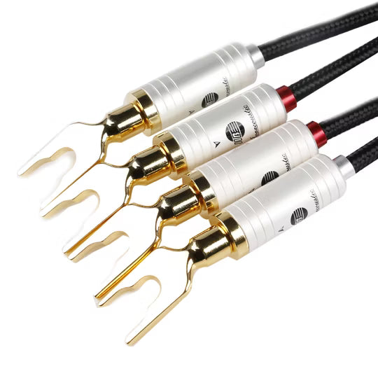 Boaacoustic Blackberry