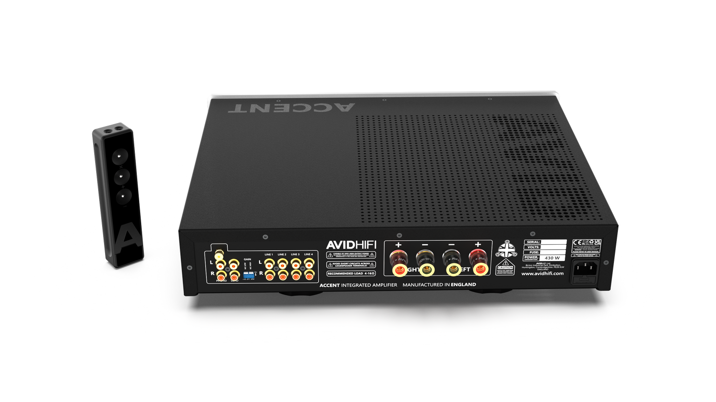 AVID ACCENT