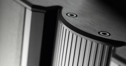 GRYPHON Antileon EVO Stereo Endstufe