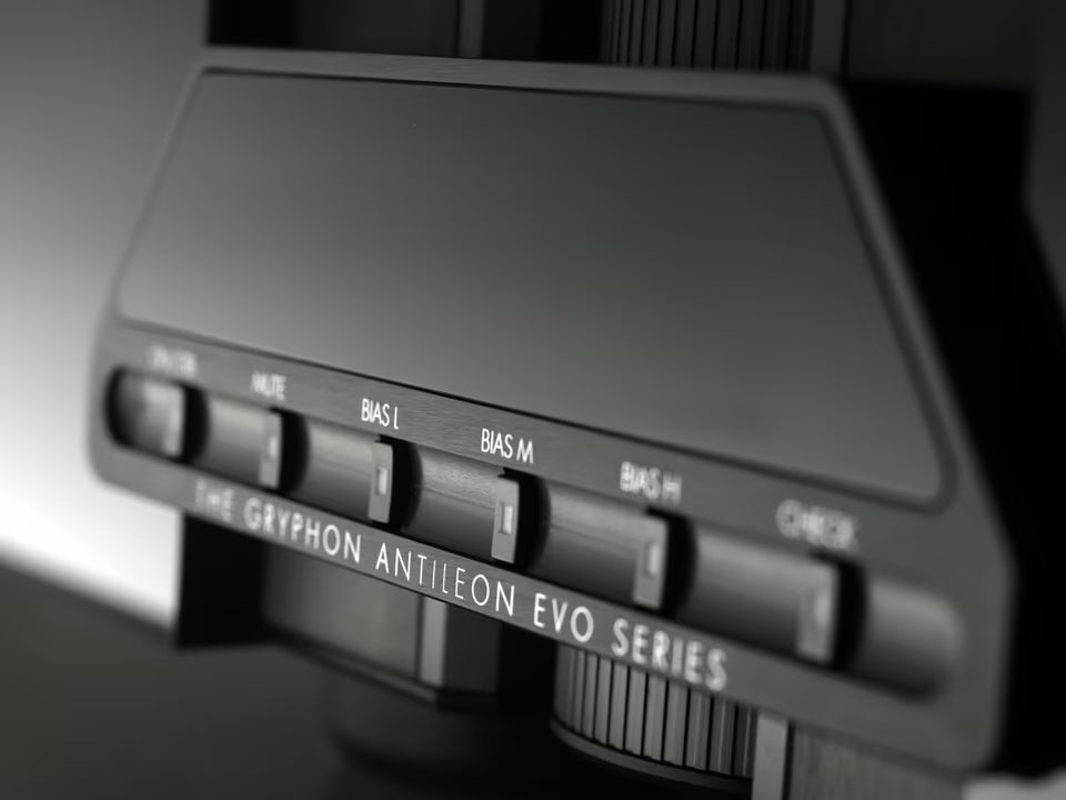 GRYPHON Antileon EVO Stereo Endstufe
