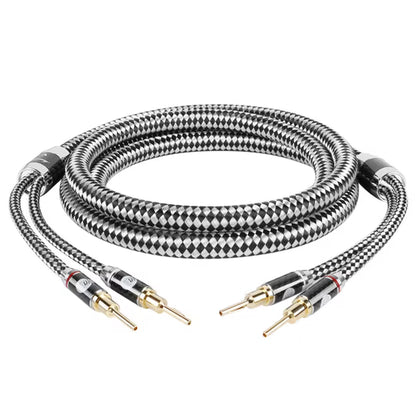 Boaacoustic Argentum SILVER.sonic-16