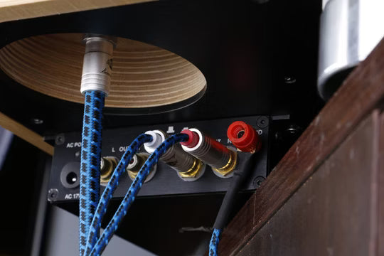 Boaacoustic Blueberry SIGNAL.phono5pin