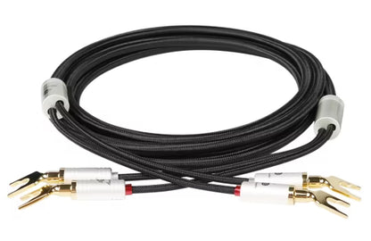 Boaacoustic Blackberry