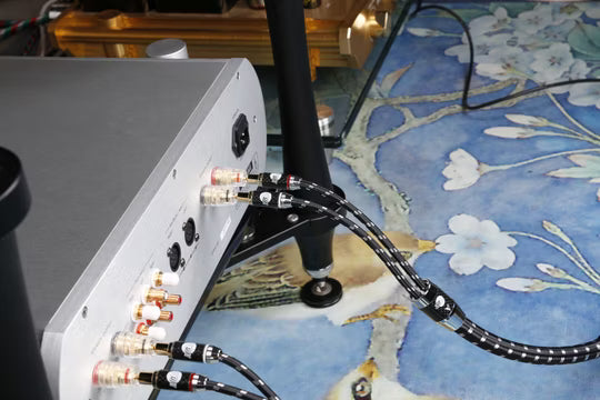 Boaacoustic Evolution BLACK.sonic-17.biAmp