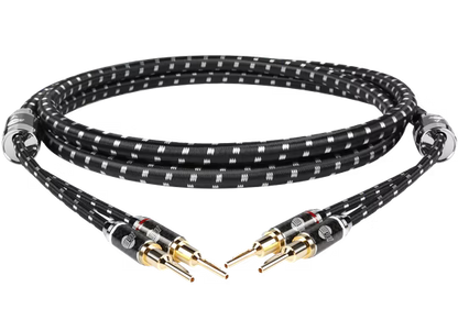 Boaacoustic Evolution BLACK.sonic-16