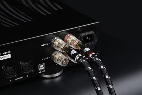 Boaacoustic Evolution BLACK.sonic-25