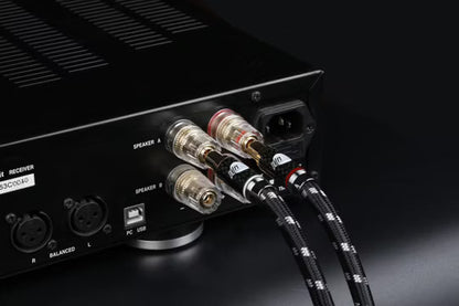 Boaacoustic Evolution BLACK.sonic-25