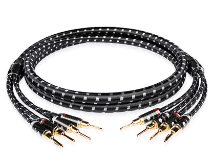 Boaacoustic Evolution BLACK.sonic-17.biAmp