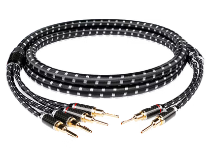 Boaacoustic Evolution BLACK.sonic-17.biWire