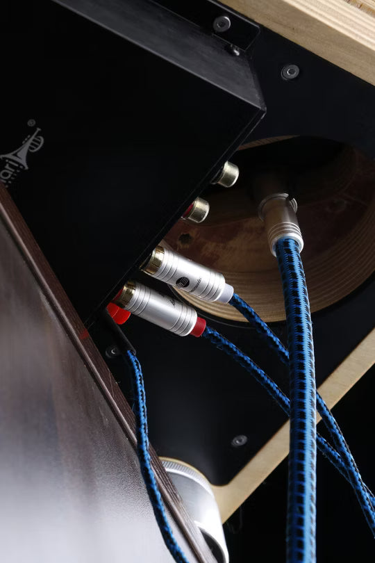 Boaacoustic Blueberry SIGNAL.phonocinch