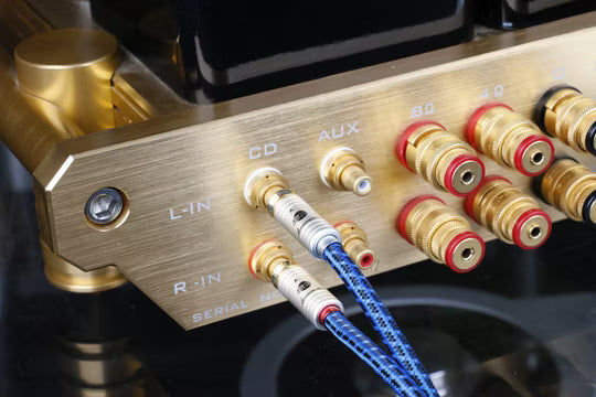 Boaacoustic Blueberry SIGNAL.cinchklinke3.5