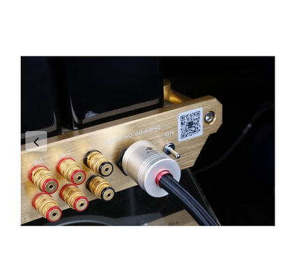 Boaacoustic Blackberry SCHUKO