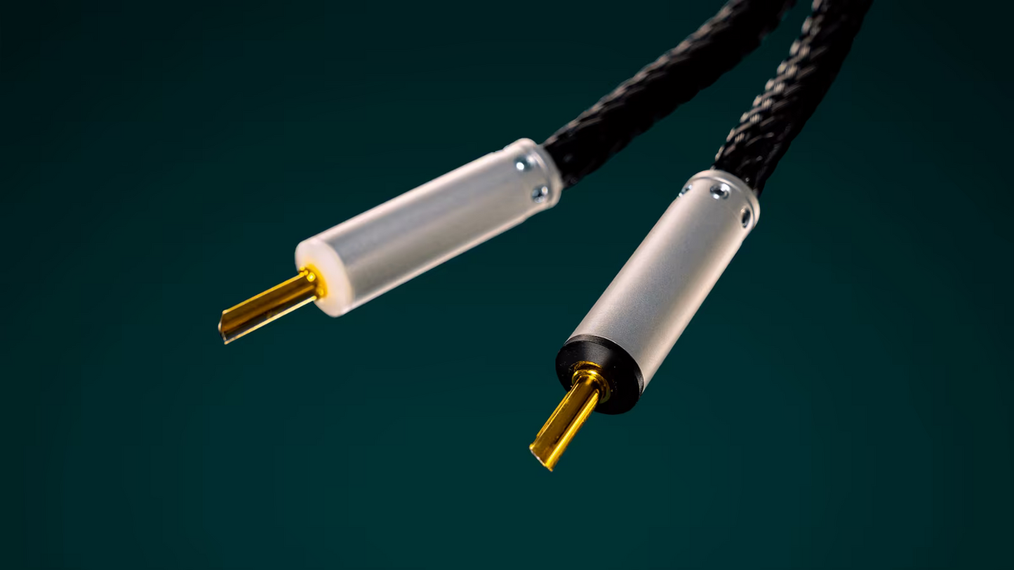 Ansuz Acoustics - Speakz A2 (Aussteller)