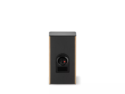 Focal Aria Evo X No. 1