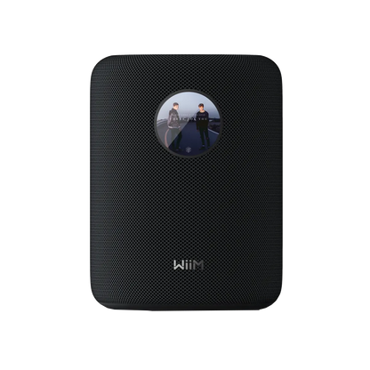 WiiM Sound